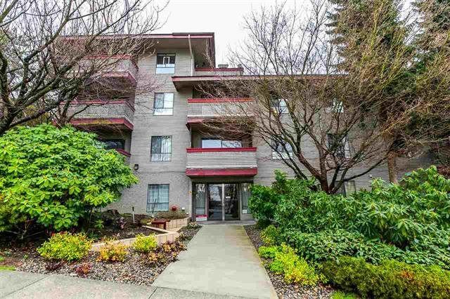 Main Photo: 203 109 TENTH Street in New Westminster: Uptown NW Condo for sale in "LANDGRO MANOR" : MLS®# R2181370
