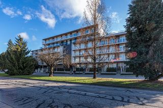 Photo 17: 215 528 W KING EDWARD Avenue in Vancouver: Cambie Condo for sale in "CAMBIE + KING EDWARD" (Vancouver West)  : MLS®# R2849811