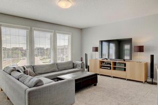Photo 31: 40 BRIGHTONCREST Manor SE in Calgary: New Brighton Detached for sale : MLS®# A1016747