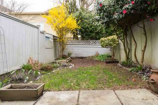 Photo 17: 18 3031 WILLIAMS ROAD in Richmond: Seafair Townhouse for sale : MLS®# R2152876