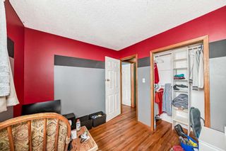 Photo 28: 3431 32A Avenue SE in Calgary: Dover Detached for sale : MLS®# A2126947