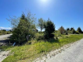 Photo 8: 1070 Seventh Ave in Ucluelet: PA Salmon Beach Land for sale (Port Alberni)  : MLS®# 931040