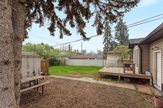 Photo 16: 504 37 Street SW in Calgary: Spruce Cliff Detached for sale : MLS®# A2049235
