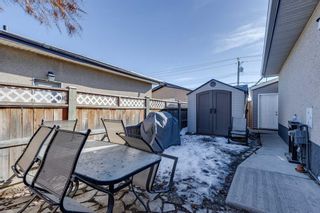 Photo 17: 112 Pennsburg Way SE in Calgary: Penbrooke Meadows Semi Detached (Half Duplex) for sale : MLS®# A2129479