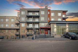 Main Photo: 208 30 Shawnee Common SW in Calgary: Shawnee Slopes Apartment for sale : MLS®# A2122271