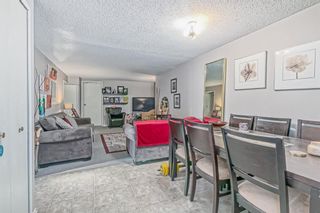 Photo 21: 2439 52 Avenue SW in Calgary: North Glenmore Park Detached for sale : MLS®# A2050001