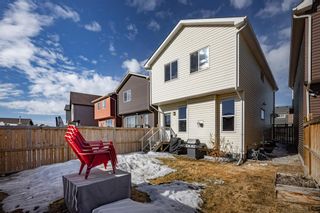 Photo 41: 90 Cranford Bay SE in Calgary: Cranston Detached for sale : MLS®# A2035922