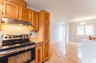 Photo 14: 61 KINISKI Crescent in Edmonton: Zone 29 House for sale : MLS®# E4307914
