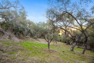 Photo 71: 3137 S Mission Road in Fallbrook: Residential Income for sale (92028 - Fallbrook)  : MLS®# OC22116656