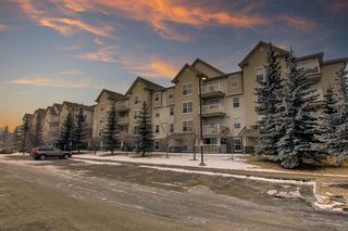 Photo 30: 302 2000 Applevillage Court in Calgary: Applewood Park Apartment for sale : MLS®# A1228911