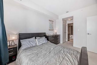 Photo 15: 320 38 9 Street NE in Calgary: Bridgeland/Riverside Apartment for sale : MLS®# A2128134