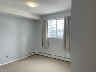 Photo 11: 3216 10 Prestwick Bay SE in Calgary: McKenzie Towne Apartment for sale : MLS®# A1255172