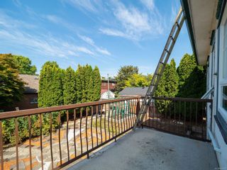 Photo 17: 238 Beechwood Ave in Victoria: Vi Fairfield East House for sale : MLS®# 854081