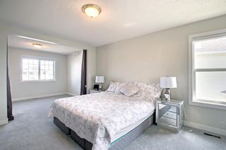 Photo 24: 14 Coral Springs Gardens NE in Calgary: Coral Springs Detached for sale : MLS®# A1224849