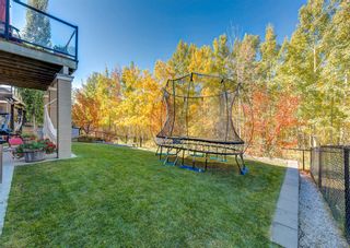 Photo 50: 46 Tuscany Estates Crescent NW in Calgary: Tuscany Detached for sale : MLS®# A2004133