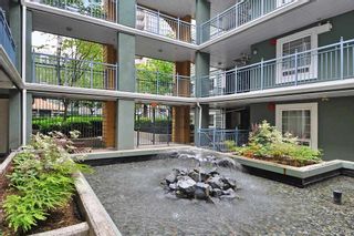 Photo 18: 304 1189 WESTWOOD Street in Coquitlam: North Coquitlam Condo for sale in "LAKESIDE TERRACE" : MLS®# R2416866