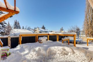 Photo 42: 33 Mckinley Bay SE in Calgary: McKenzie Lake Detached for sale : MLS®# A2027542