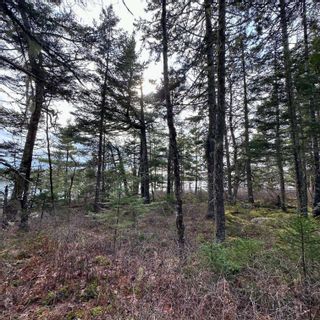 Photo 15: Lot 38 Sand Cove Road in Westfield: 406-Queens County Vacant Land for sale (South Shore)  : MLS®# 202404708