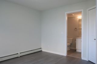 Photo 12: 105 4105 Valleyview Park SE in Calgary: Dover Apartment for sale : MLS®# A1244453