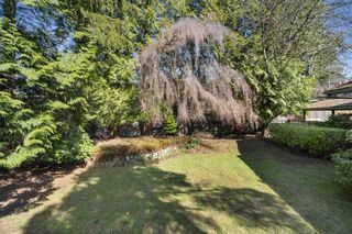 Photo 39: 1311 W 57TH Avenue in Vancouver: South Granville House for sale (Vancouver West)  : MLS®# R2559878