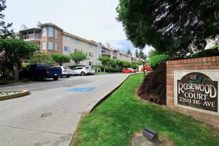 Photo 24: 318 22611 116 Avenue in Maple Ridge: East Central Condo for sale in "ROSEWOOD COURT-FRASERVIEW" : MLS®# R2882360