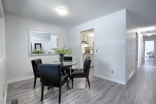 Photo 12: 210 EDGEDALE Place NW in Calgary: Edgemont Semi Detached for sale : MLS®# A1032699