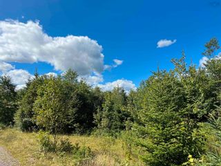 Photo 8: Lot 2 MacLean Road in Hunters Mountain: 209-Victoria County / Baddeck Vacant Land for sale (Cape Breton)  : MLS®# 202317840