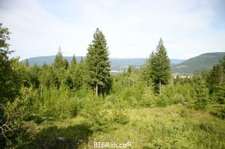 Photo 19: 190 SW Christison Road in Salmon Arm: Gleneden Vacant Land for sale : MLS®# 10118444