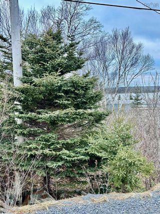 Photo 6: 1330 Ostrea Lake Road in Ostrea Lake: 35-Halifax County East Vacant Land for sale (Halifax-Dartmouth)  : MLS®# 202401581