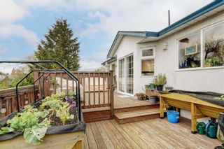 Photo 14: 585 Baxter Ave in Saanich: SW Glanford House for sale (Saanich West)  : MLS®# 894187