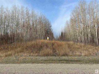 Photo 3: Twp 484 RR 60: Drayton Valley Residential Land for sale : MLS®# A2108546