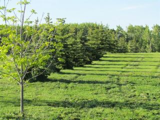 Photo 2: Lot 12 420054 Range Road 283: Rimbey Residential Land for sale : MLS®# A1228400