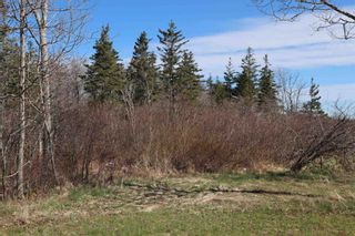 Photo 7: Lot Long Cove Road in Port Medway: 406-Queens County Vacant Land for sale (South Shore)  : MLS®# 202110309