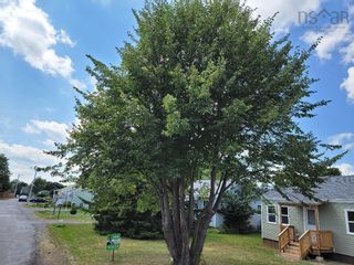 Photo 5: 176 Chestnut Street in Pictou: 107-Trenton, Westville, Pictou Residential for sale (Northern Region)  : MLS®# 202219414