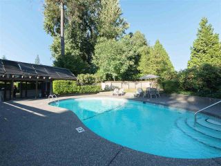 Photo 17: 32 9101 FOREST GROVE Drive in Burnaby: Forest Hills BN Townhouse for sale in "ROSSMOOR" (Burnaby North)  : MLS®# R2192598