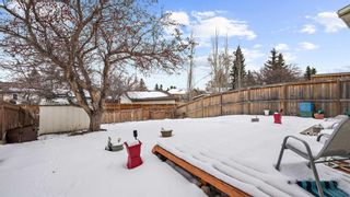 Photo 33: 300 Berwick Drive NW in Calgary: Beddington Heights Detached for sale : MLS®# A2118693
