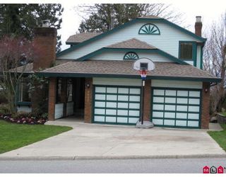 Photo 1: 2232 MOUNTAIN Drive in Abbotsford: Abbotsford East House for sale in "Mount Village" : MLS®# F2806573