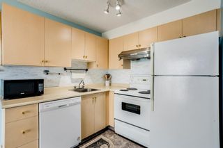Photo 6: 3421 1620 70 Street SE in Calgary: Applewood Park Apartment for sale : MLS®# A1240969