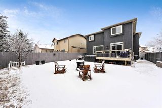 Photo 44: 33 Thornbird Rise SE: Airdrie Detached for sale : MLS®# A1189064