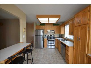 Photo 3: 20646 W RIVER Road in Maple Ridge: Southwest Maple Ridge House for sale : MLS®# V967877