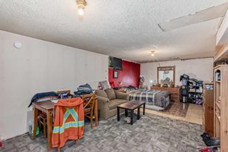 Photo 32: 3431 32A Avenue SE in Calgary: Dover Detached for sale : MLS®# A2126947
