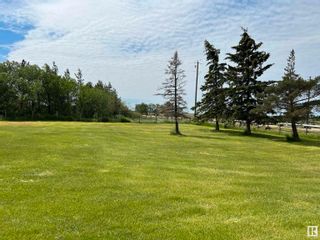 Photo 25: 55303 RGE RD 260: Rural Sturgeon County House for sale : MLS®# E4301524