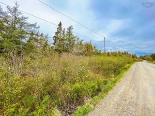 Photo 3: Lot 101 Long Cove Road in Port Medway: 406-Queens County Vacant Land for sale (South Shore)  : MLS®# 202304042