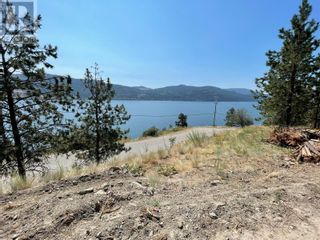 Photo 8: 8800 Tronson Road in Vernon: Vacant Land for sale : MLS®# 10236093