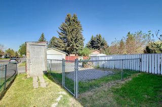 Photo 36: 174 Abalone Place NE in Calgary: Abbeydale Semi Detached for sale : MLS®# A1225319
