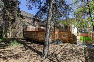 Photo 30: 511 30 Street NW in Calgary: Parkdale Detached for sale : MLS®# A2045837