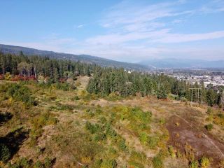 Photo 3: 402 Princess Street, in Enderby: Vacant Land for sale : MLS®# 10265189