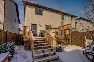 Photo 46: 24 Skyview Ranch Lane NE in Calgary: Skyview Ranch Semi Detached for sale : MLS®# A1175919