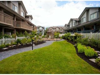Photo 18: 15 19250 65TH Avenue in Surrey: Clayton Townhouse for sale in "Sunberry Court" (Cloverdale)  : MLS®# F1416410