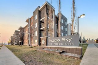 Photo 32: 214 7130 80 Avenue NE in Calgary: Saddle Ridge Apartment for sale : MLS®# A2094119